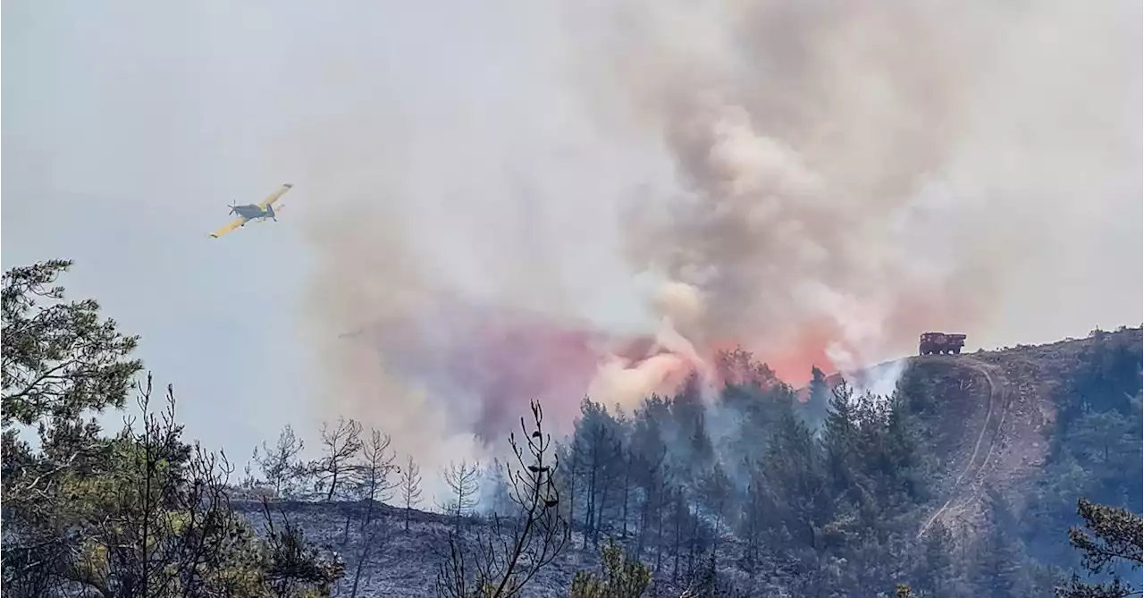 Wildfire in southwest Turkey largely under control -minister