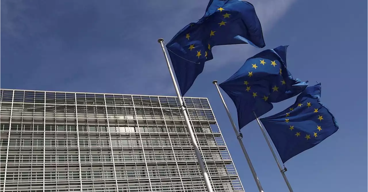 EU agrees deal on company disclosures to combat greenwashing