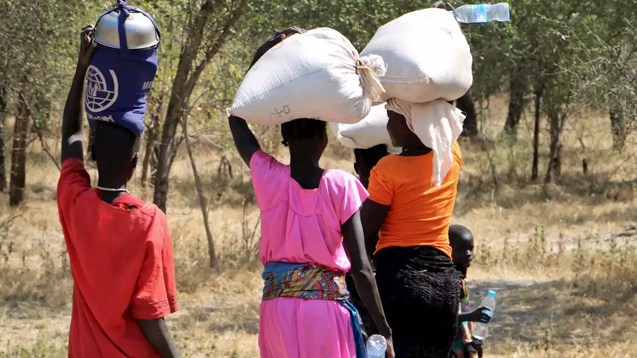 Child marriage: Some girls still being sold for cows in South Sudan, as country fights practice said to breach human rights