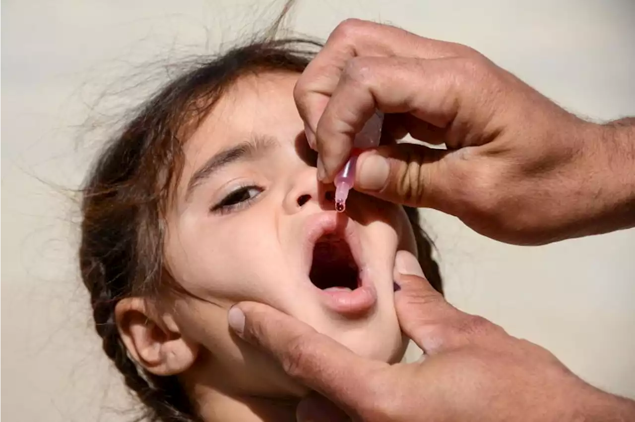 Polio virus detected in London sewage samples