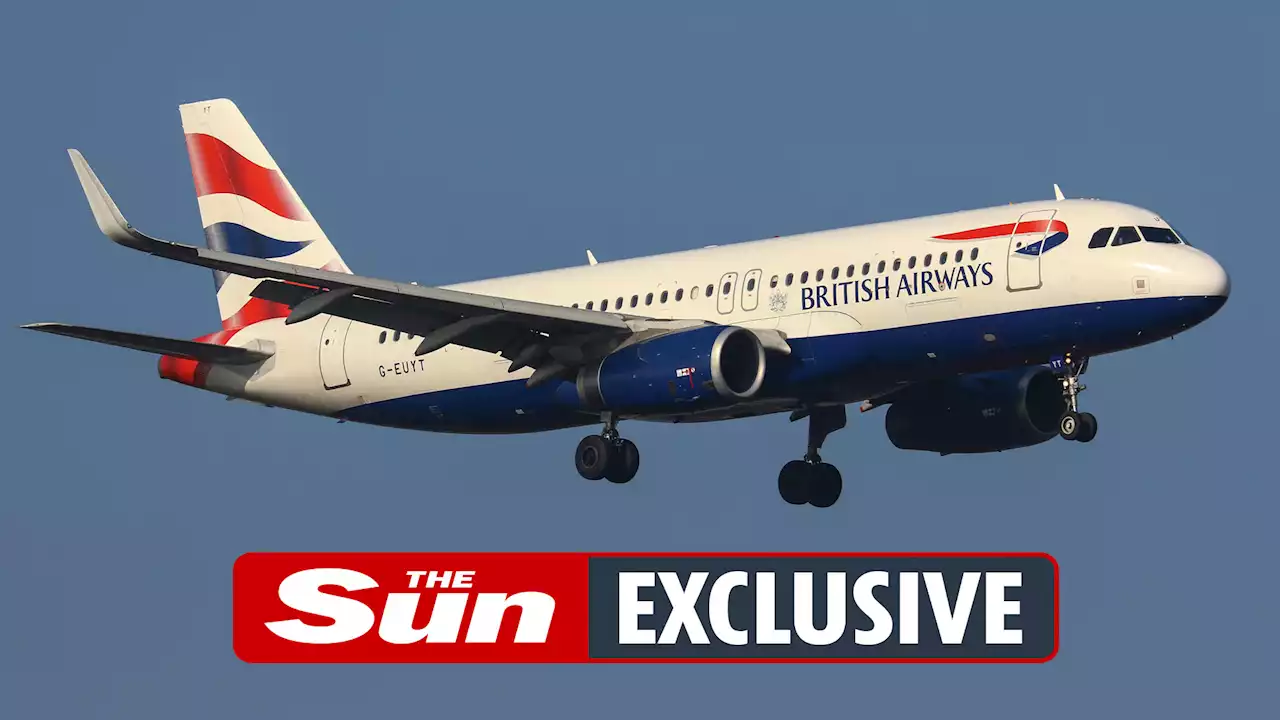 BA crew member struck down with monkeypox - sparking delay to UK-bound flight