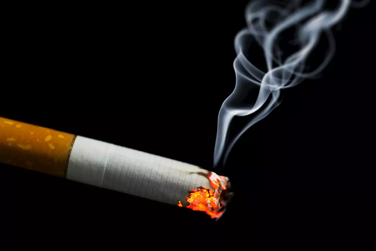 U.S. Seeks to Limit Nicotine Levels in Cigarettes