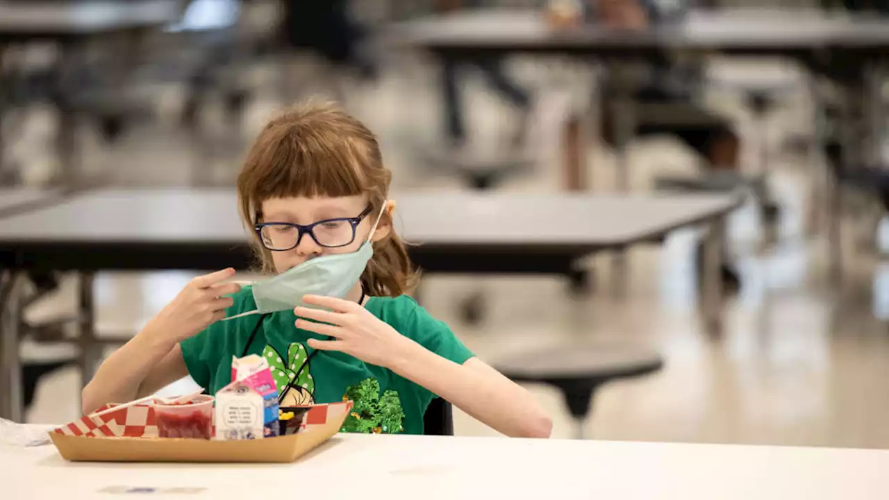 “No Child Should Go Hungry”: Democrats Push to Extend Universal School Meals