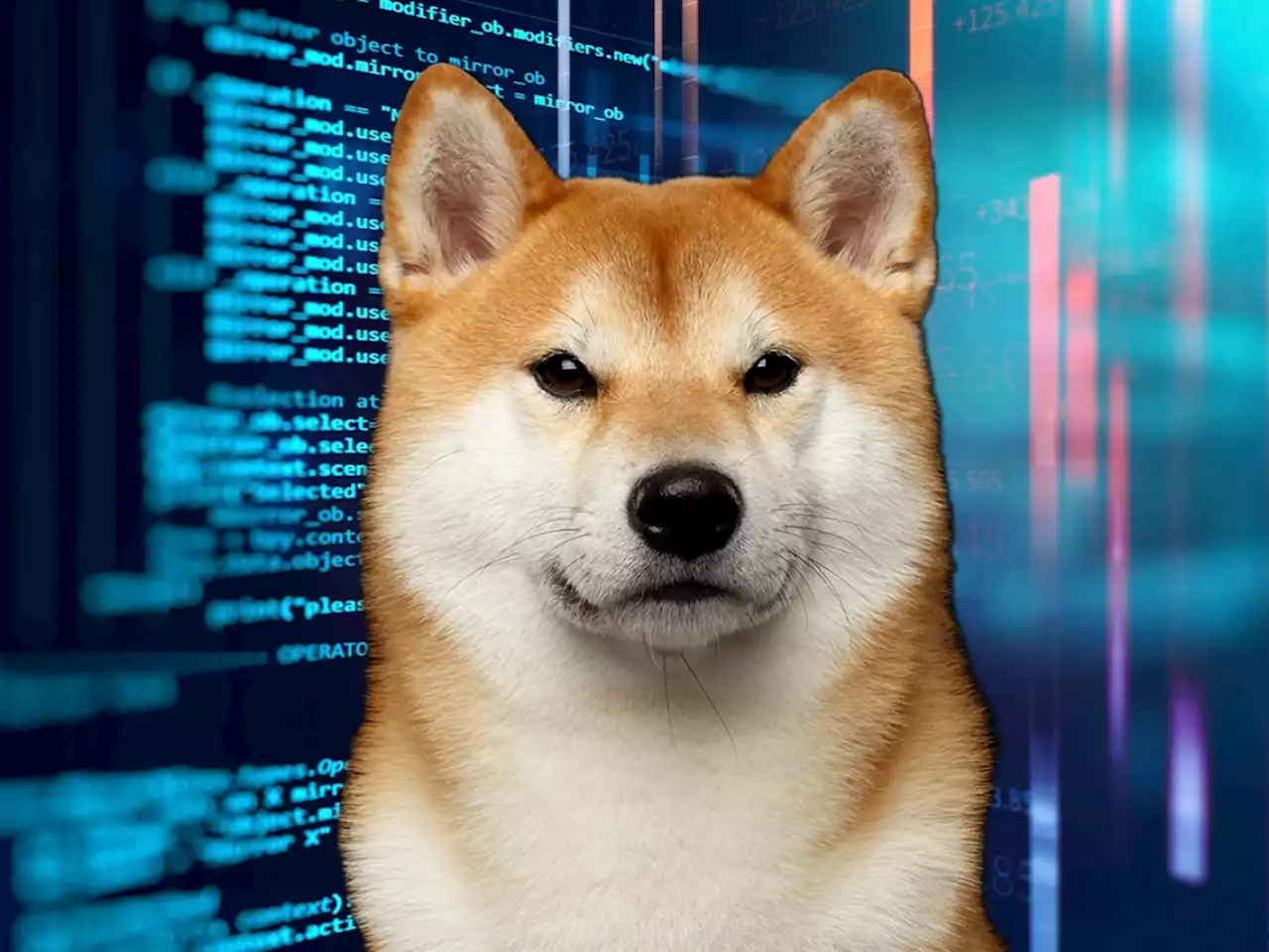 Darknet Use of Dogecoin on the Rise