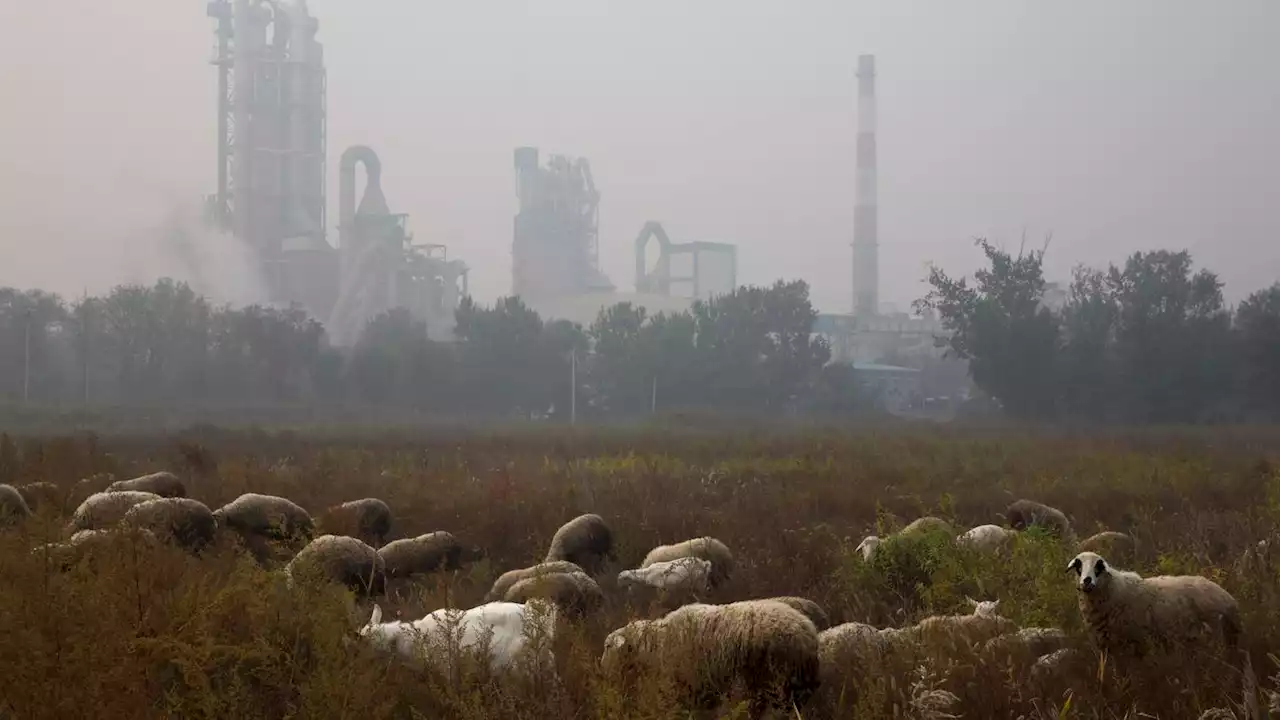 Cement carbon dioxide emissions quietly double in 20 years