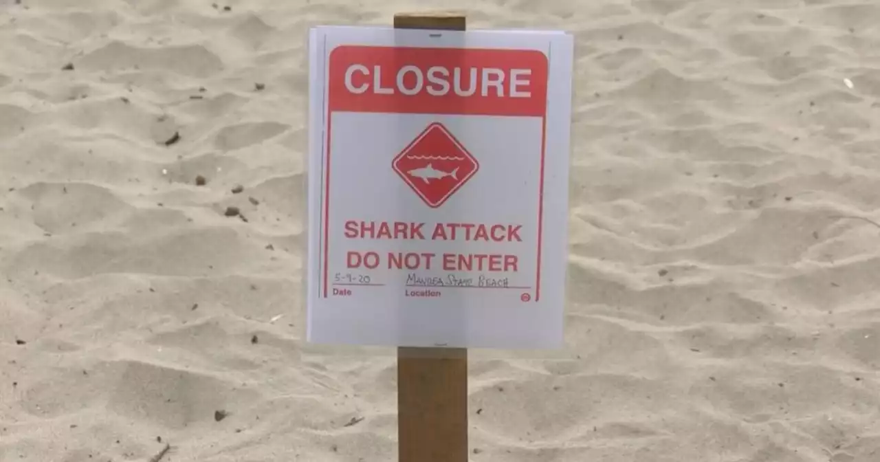 California surfer injured in shark attack