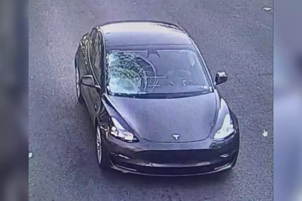 Tesla Wanted In Germantown Hit-And-Run That Left 21-Year-Old Dead Located: Police