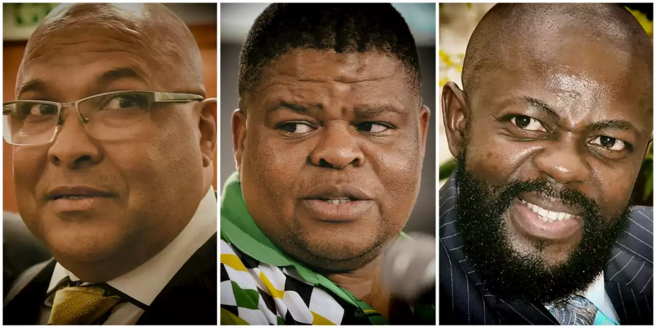 DAYS OF ZONDO, PART FIVE: Investigate Arthur Fraser, David Mahlobo and Thulani Dlomo – State Capture Commission