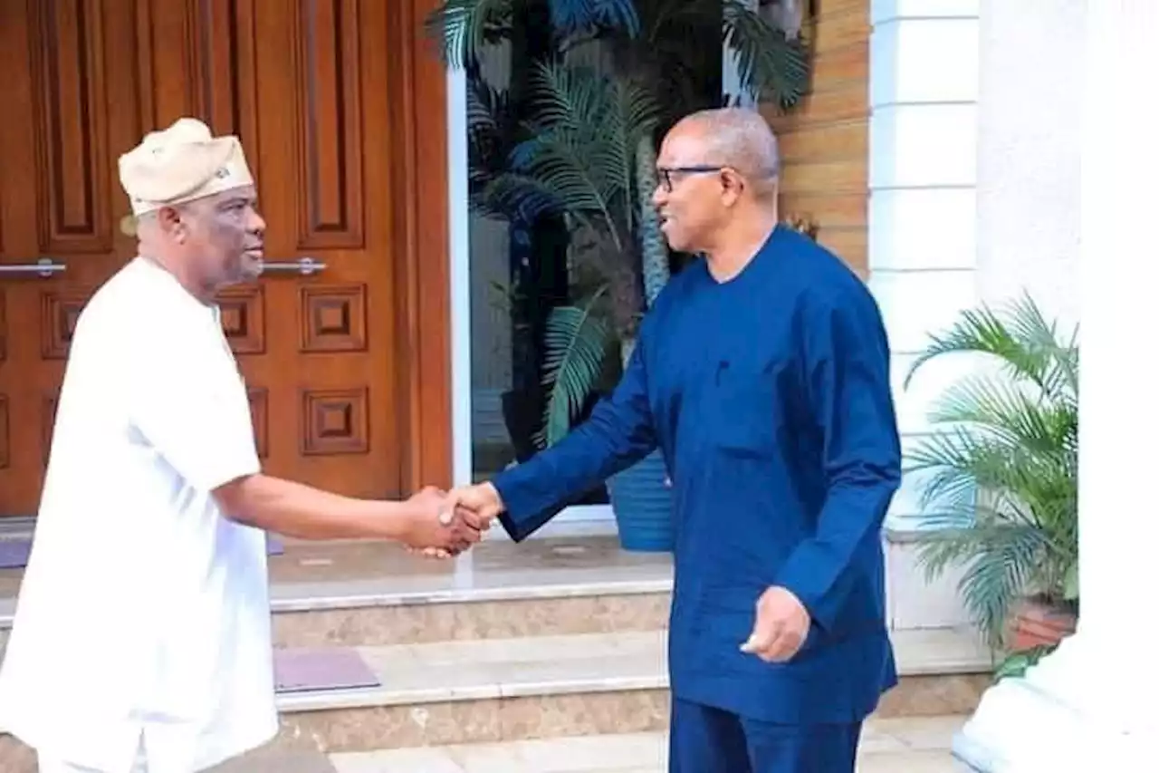 2023: Why I visited Wike - Peter Obi