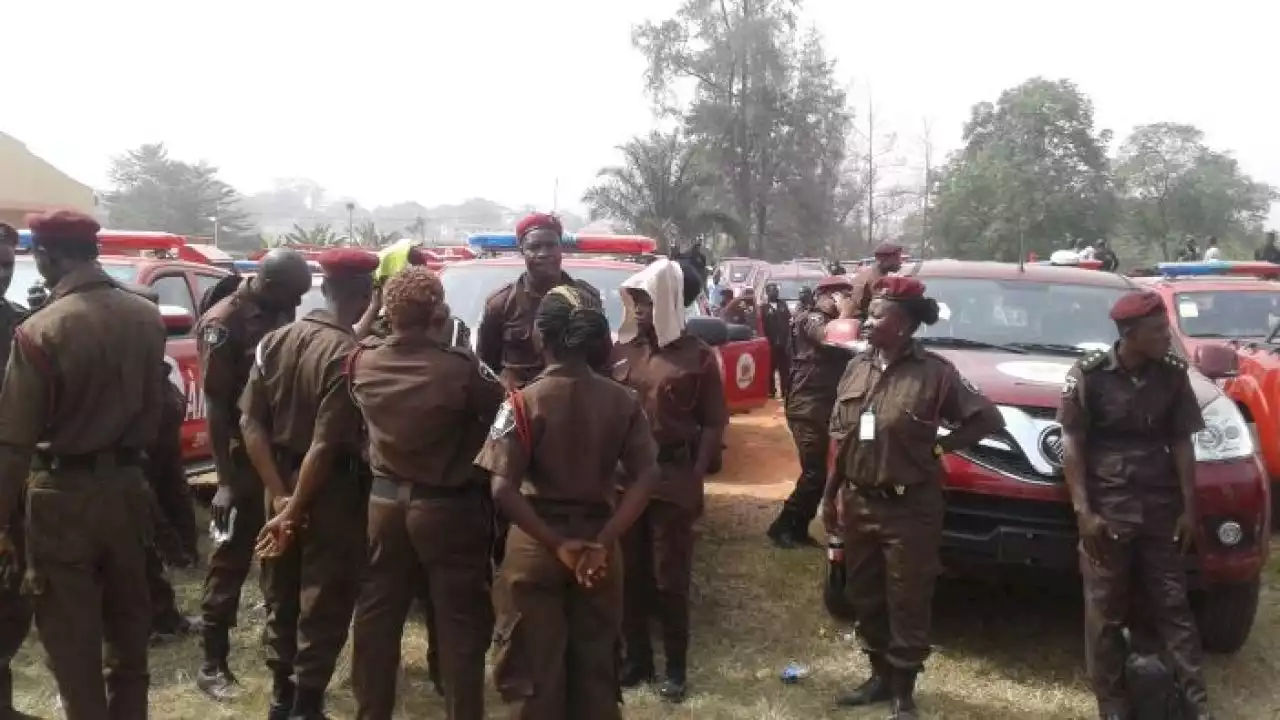 Osun election: APC using Amotekun to kill our members - PDP cries out