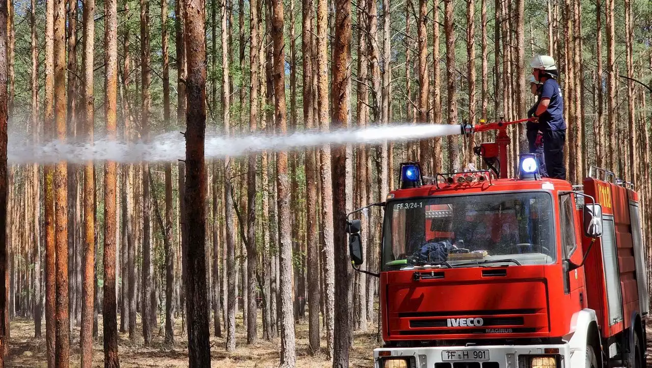 Waldbrände in Brandenburg: Feuer bricht erneut aus – Glutnester bei Beelitz