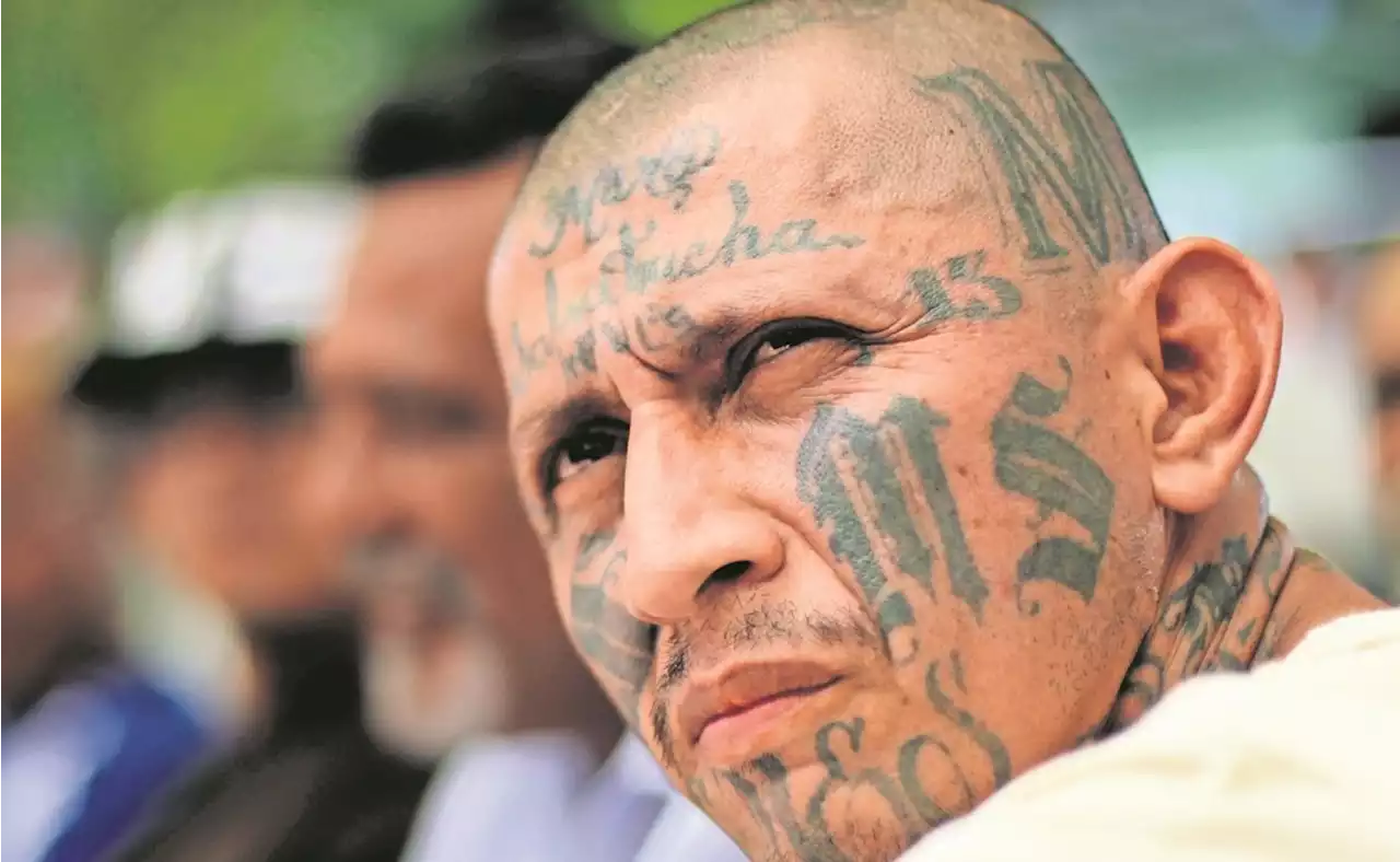 Líderes de mara MS-13 huyen de El Salvador a México