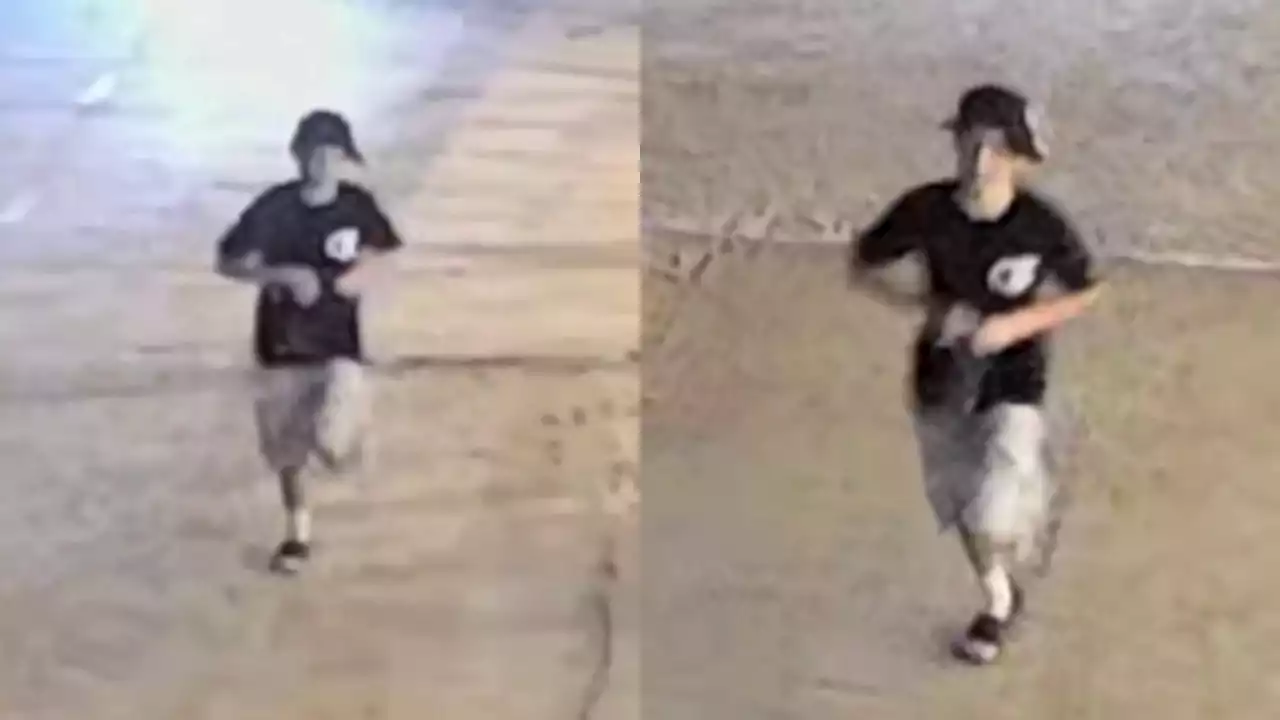 Wanted by Chicago police: Suspect seen ditching gun after North Avenue Beach shooting