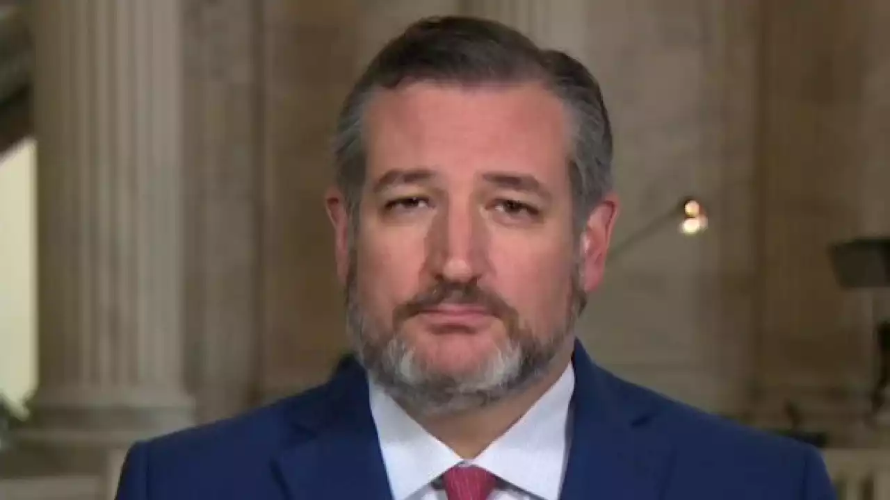 Cruz calls on Senate to support alternative gun bill 'targeting criminals' not civilians