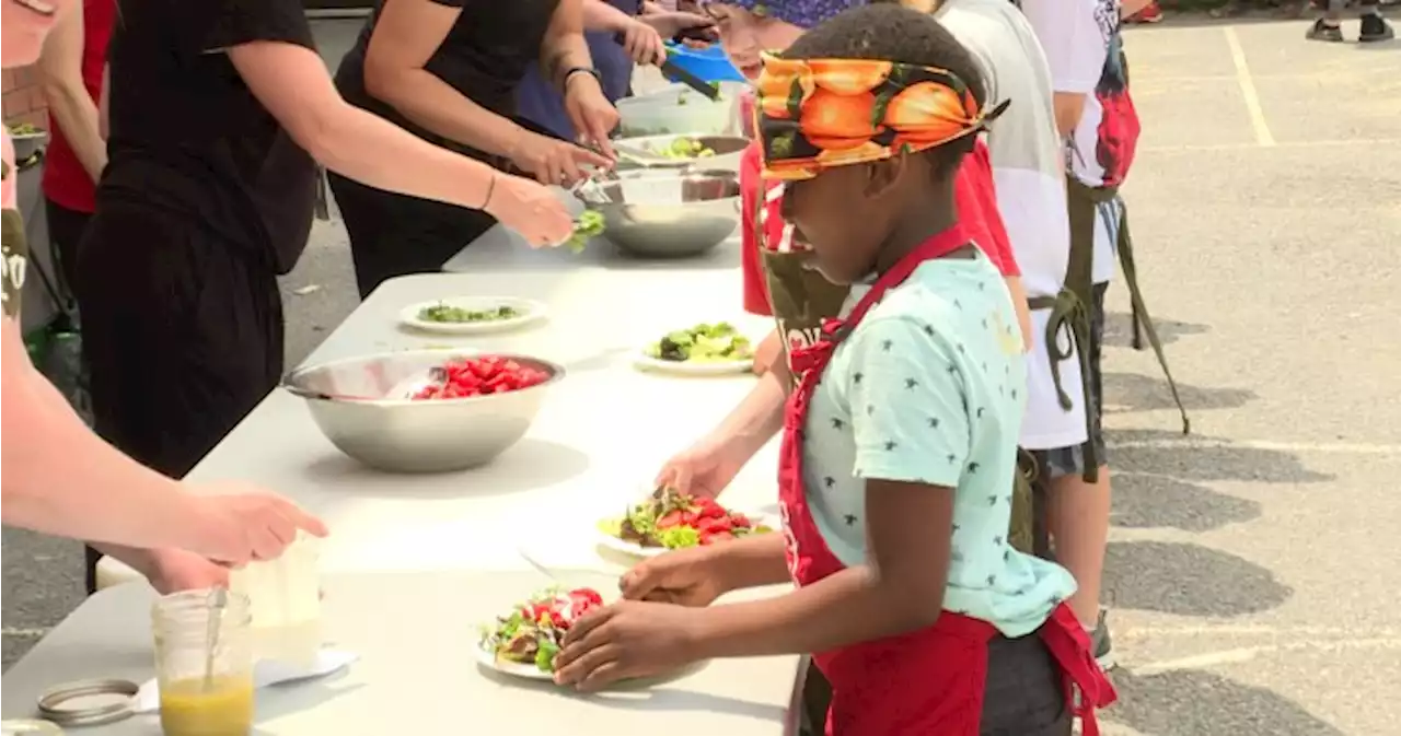 Kingston, Ont. elementary school students celebrate community garden with salad party - Kingston | Globalnews.ca