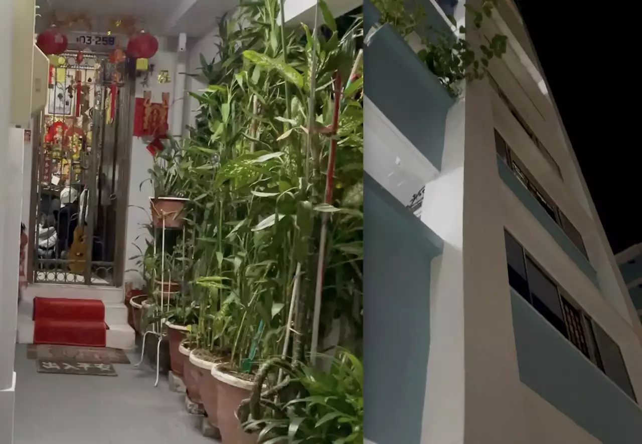 Tampines uncle appears nude at doorstep, blasts radio volume daily; Netizen says 'HDB washes hands of everything' - The Independent Singapore News