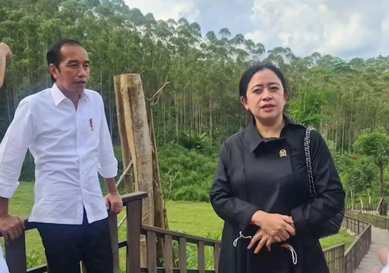 Puan: Meski Jokowi Sudah Selesai, Proyek IKN Terus Berlanjut