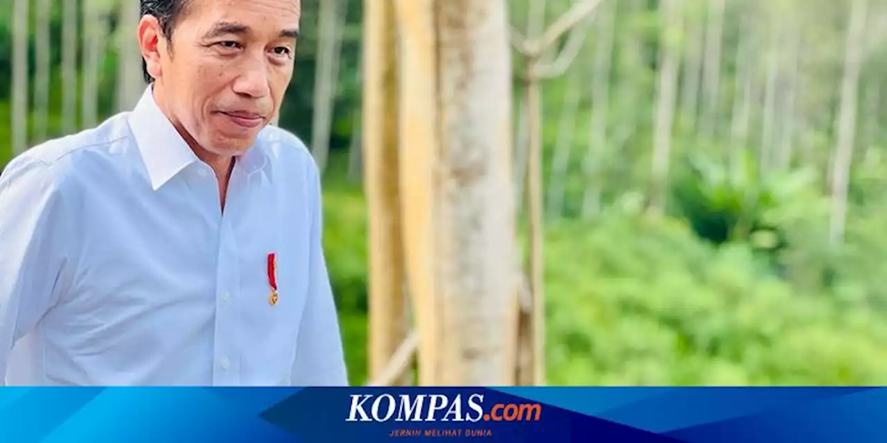 Golkar Apresiasi Langkah Jokowi Temui Putin dan Zelensky