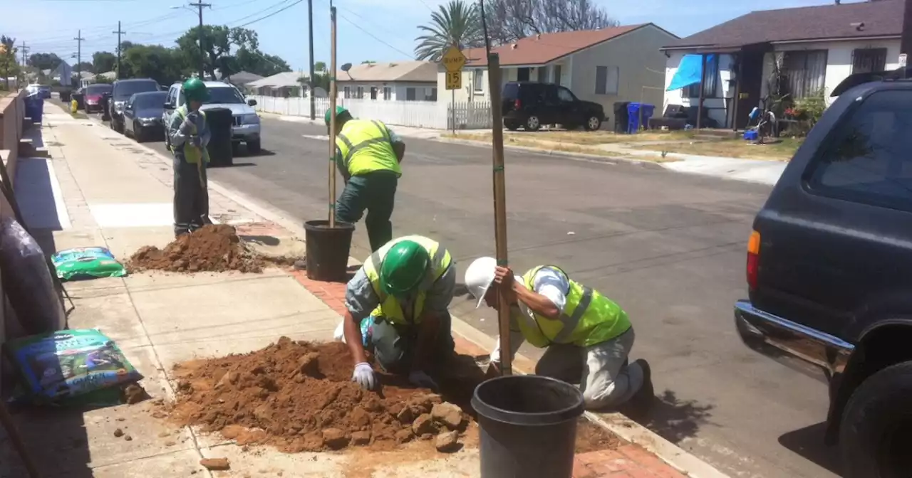 Urban Corps of San Diego County gets $1.5M in grant funds from Cal Fire