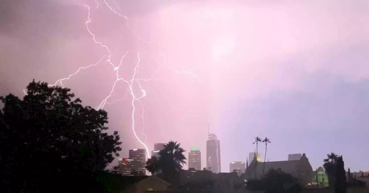 Lightning From That Thunderstorm Killed A Woman And Her 2 Dogs