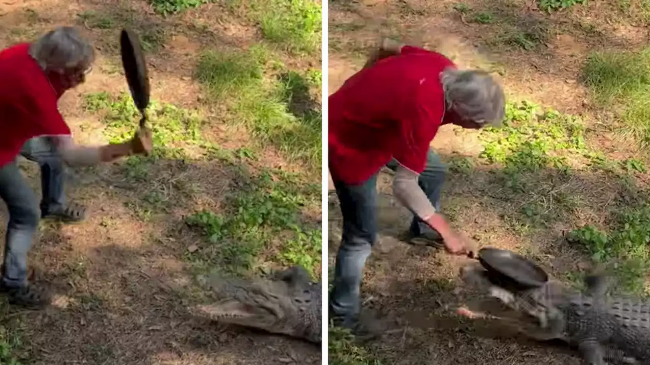 Terrifying moment man fights off crocodile with frying pan