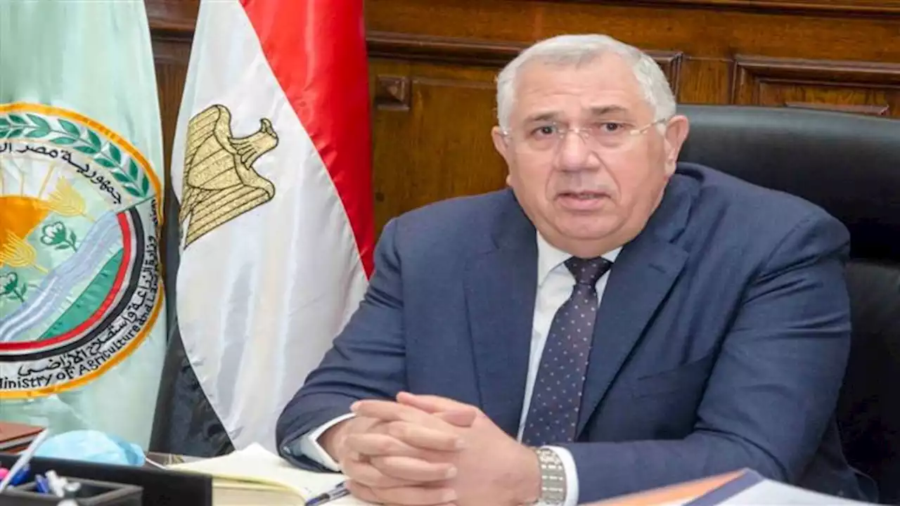 بعد وقفة احتجاجية.. نقل مدير مديرية الزراعة بالشرقية من منصبه - مستند