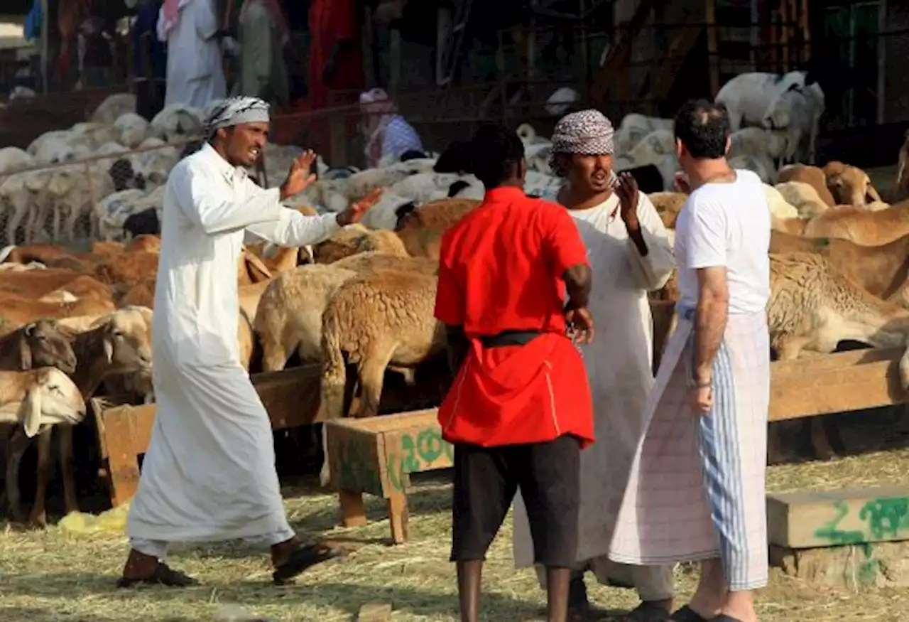 Jemaah Haji Diimbau Bayar Dam Sesuai Aturan Arab Saudi