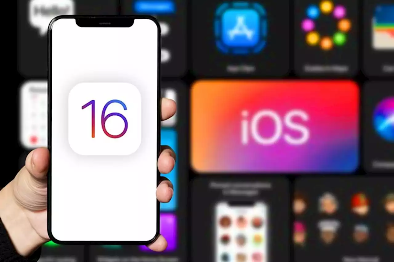 iOS 16 will send SMS spam reports to cellular carriers