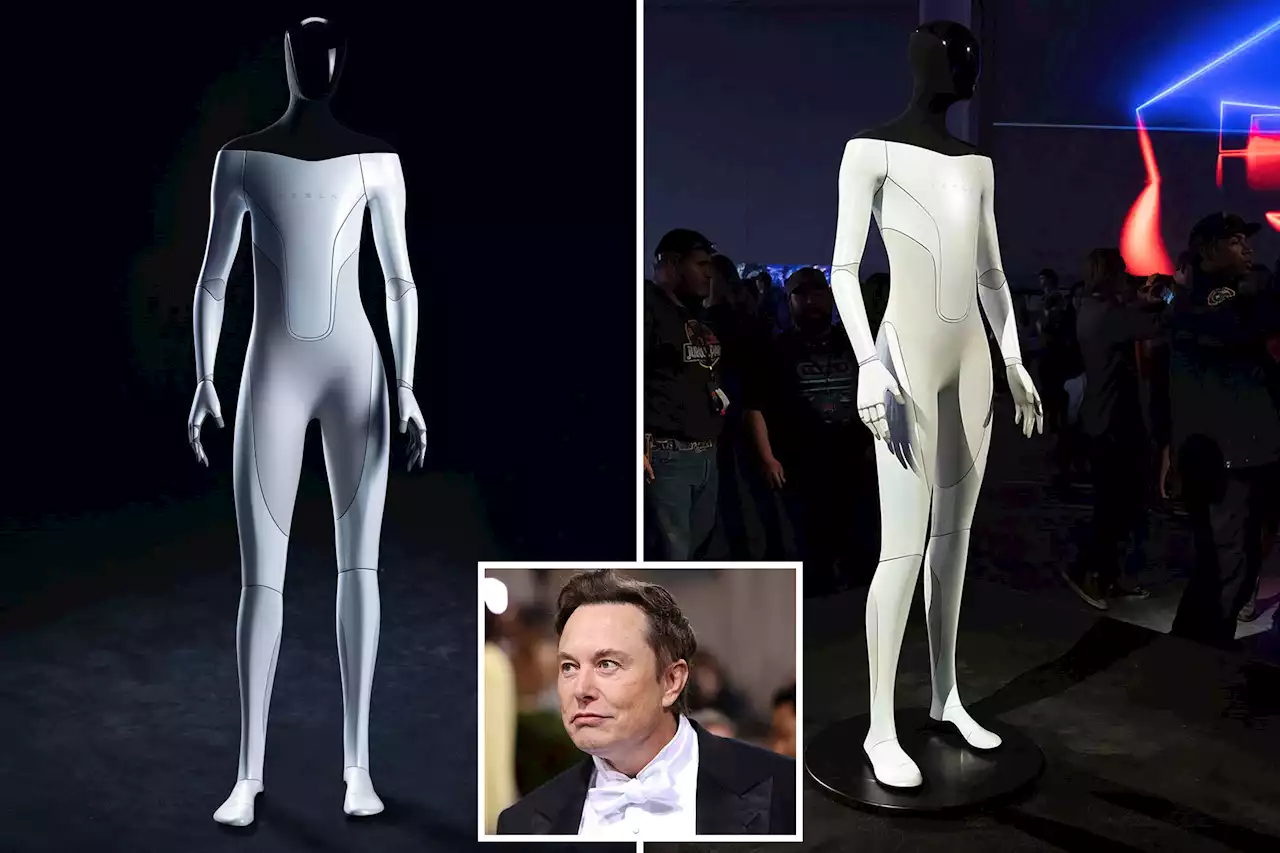 Elon Musk’s humanoid Tesla robot predicted to be ready in months