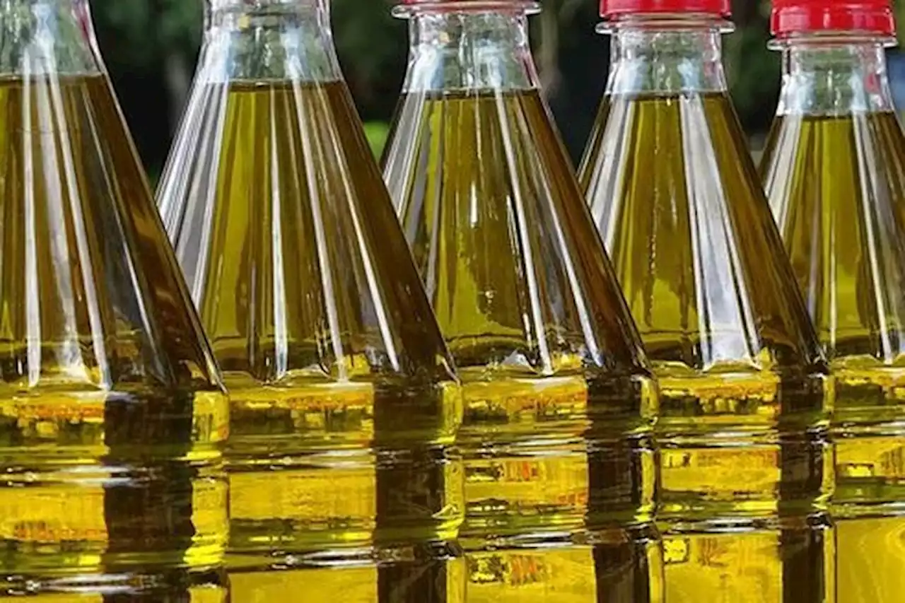 Syarat Beli 10 Liter Minyak Goreng Curah Sesuai HET - Pikiran-Rakyat.com