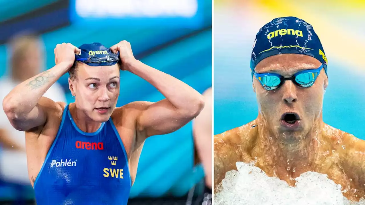 Simning: 18.00 Finalpass sim-VM – Sarah Sjöström på guldjakt