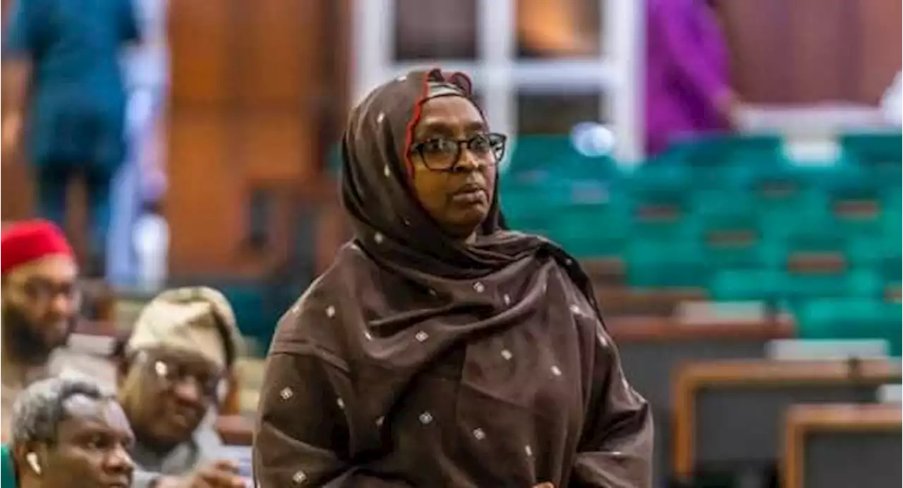 Rep makes U-turn, says INEC didn’t extend deadline for voter registration by 60 days | TheCable