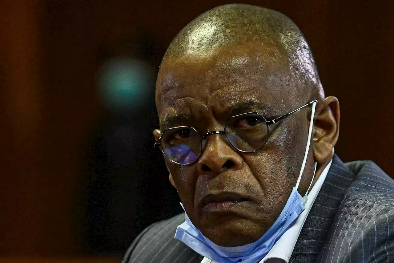Estina diary project: Magashule, Zwane 'pursued Guptas' interests' | The Citizen