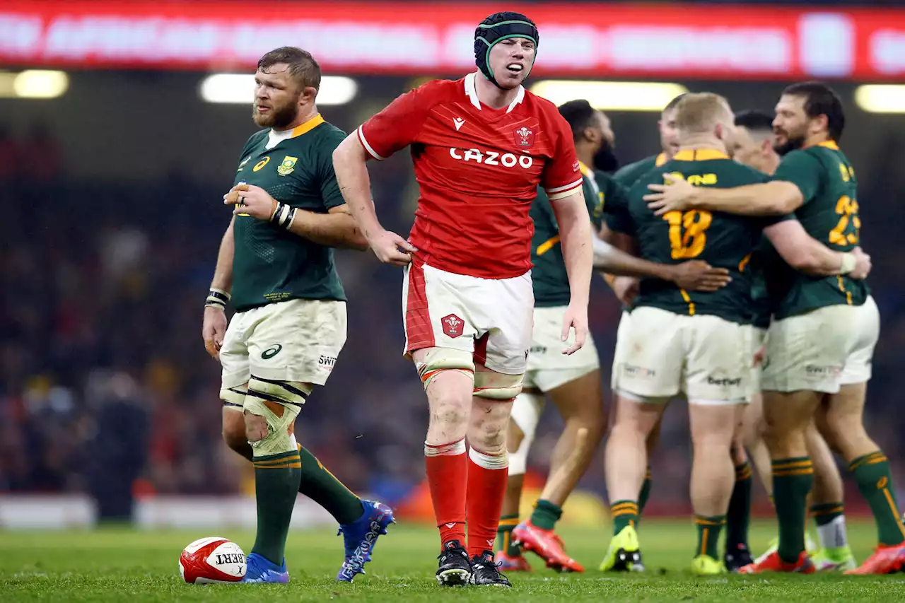 Springboks expecting a wounded and desperate Wales on incoming tour | The Citizen