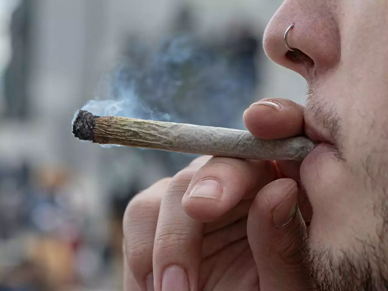 Spanish police shut down ‘coffee shop’ selling giant, $1,360 joints