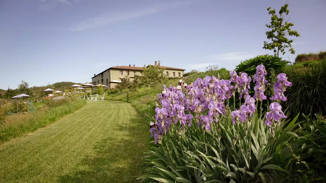 La Raia: un angolo di relax nel Gavi, tra arte e buon vino