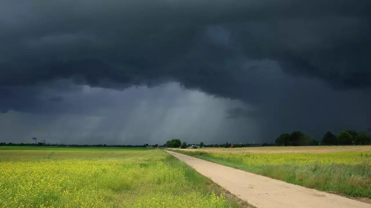 Wetter in NRW: Sonnig und heiß - aber Gewitter ziehen auf