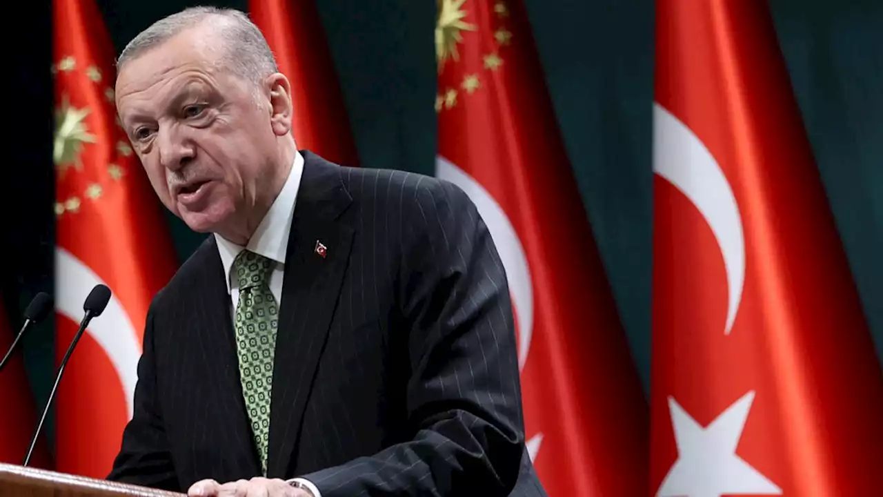 Why Turkey's Erdogan is blocking NATO membership for Finland and Sweden