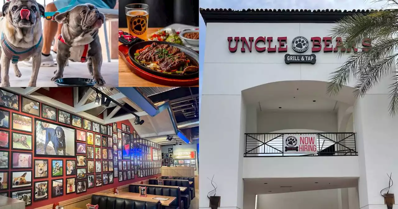 Uncle Bear’s, local Grill and Tap, to open a new location in Scottsdale