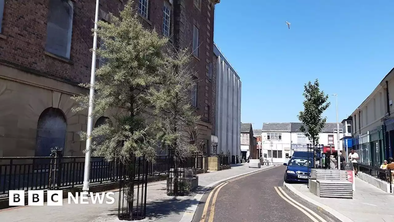 Six trees in Blackpool town centre cost £174k, council says