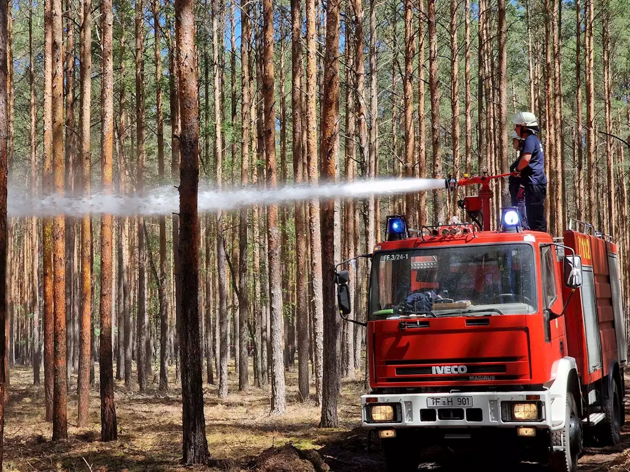 Erneut Feuerwehreinsatz bei Beelitz an der Bahnstrecke