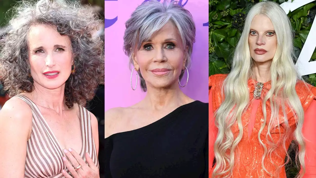 14 Times Grey Hair Won The Red Carpet