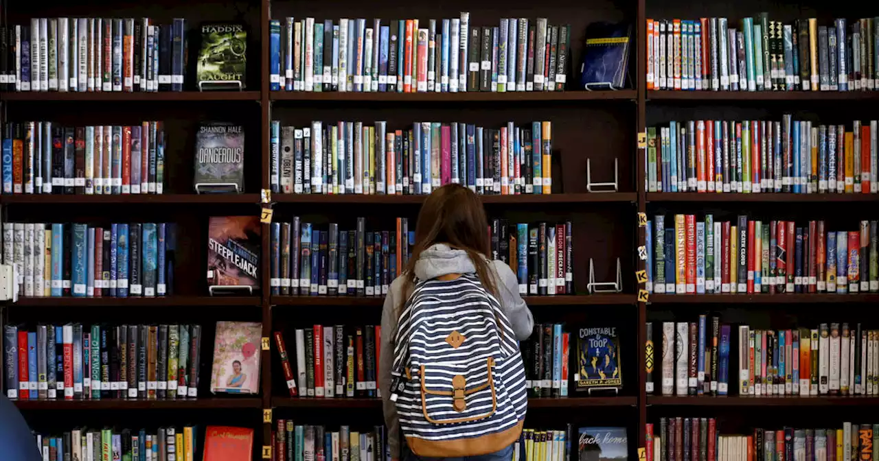 Smithtown libraries reverse ban on LGBTQ+ books from children's displays