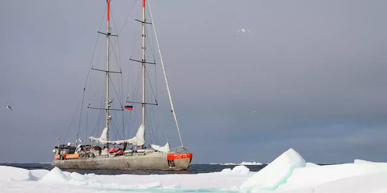 Tara Polar Station : une présence française en Arctique face aux tensions géopolitiques du territoire