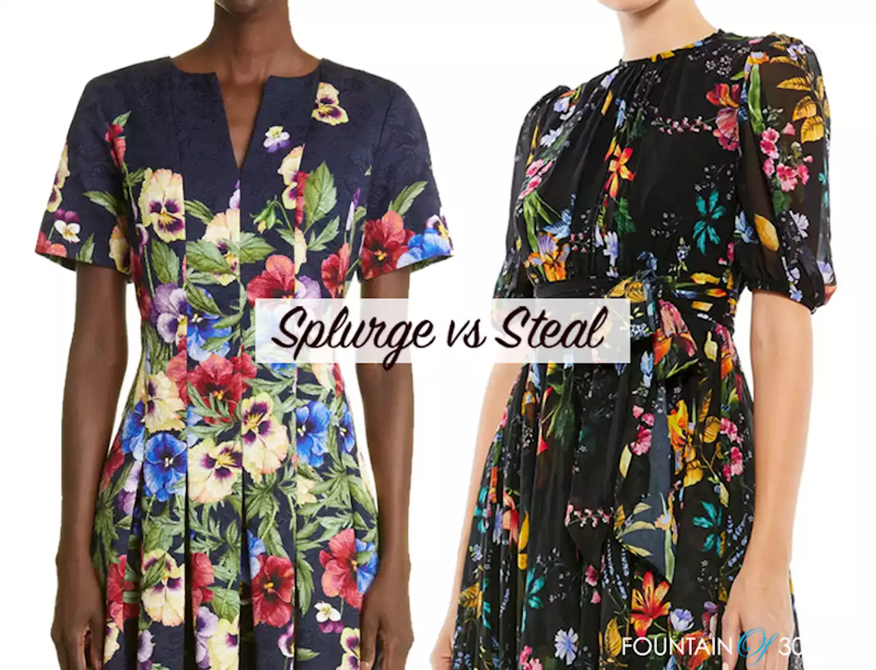 Dramatic Special Occasion Dresses for Women Over 50: Splurge vs Steal