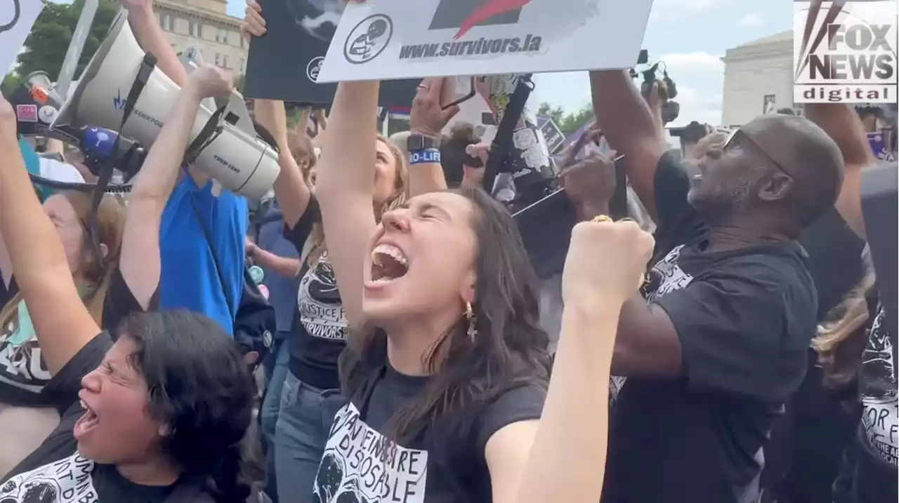 Roe v. Wade overturned, activists outside Supreme Court react to historic decision