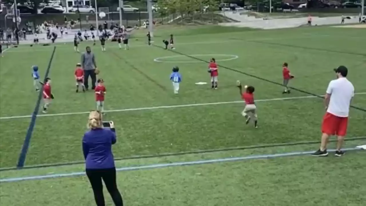 Have You Seen This? Chaotic T-ball home run