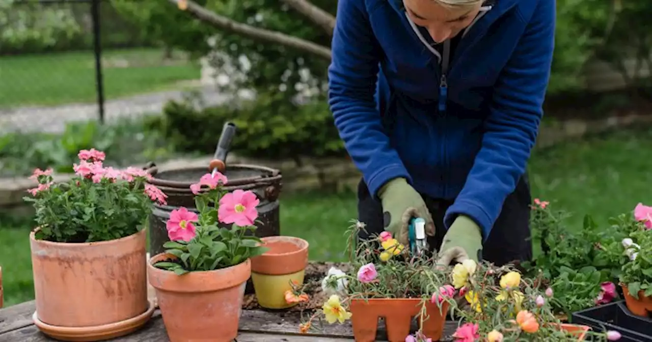 Want To Start A Garden This Year But Worried About Space? Try This