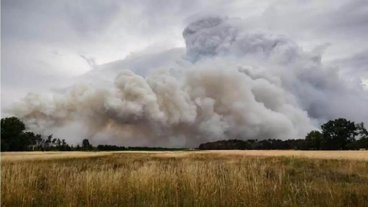 140 Feuerleute bei Waldbrand: Mehr angefordert