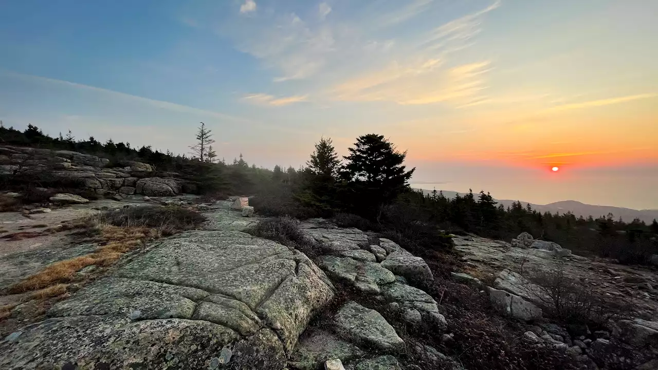 Boyfriend Sought in Death of Retreat Organizer at Acadia National Park